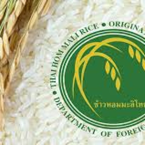 Cung cấp gạo suất ăn công nghiệp, cơm văn phòng