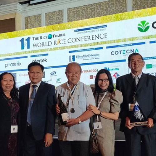 Đơn vị cung cấp gạo từ thiện Gò Vấp tin cậy hợp lý, giá uy tín