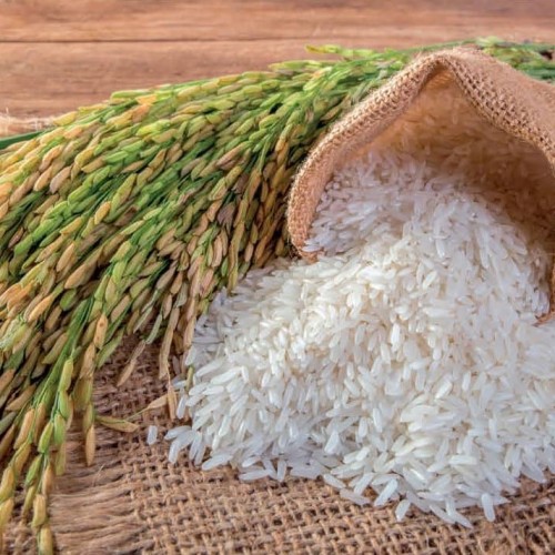 Cửa hàng gạo gần đây