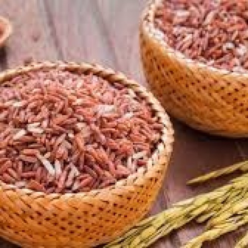 Gạo dành cho người bệnh tiểu đường