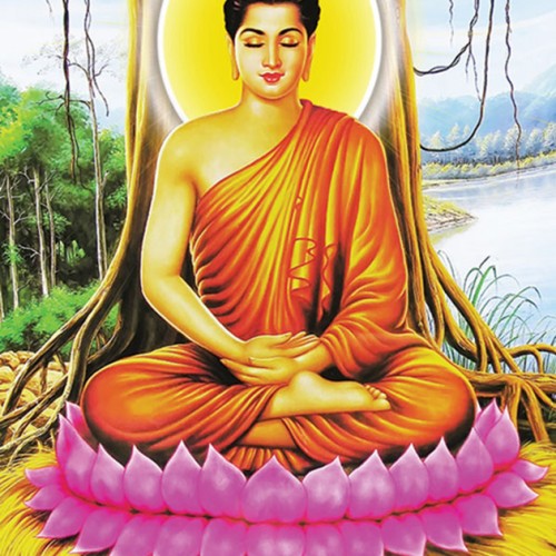 Mua gạo từ thiện rằm, Vu Lan, Phật Đản.