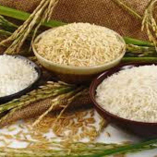 Gạo Từ Thiện Quận 11 – Kho Gạo Đông Phương Cung Cấp Giá Sỉ, Chất Lượng Cao